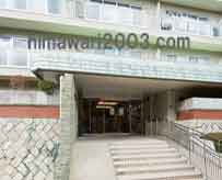 眞島法律事務所