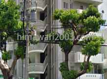 仲松正人法律事務所