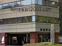 きづがわ共同法律事務所