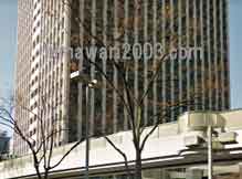 リーベ大阪法律事務所