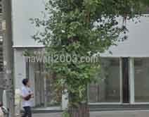 あゆみ法律事務所