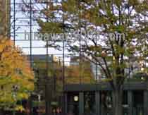 CLS日比谷東京法律事務所