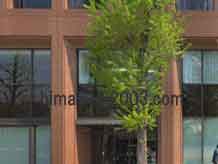  丸の内ソレイユ法律事務所