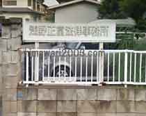 浅野正富法律事務所